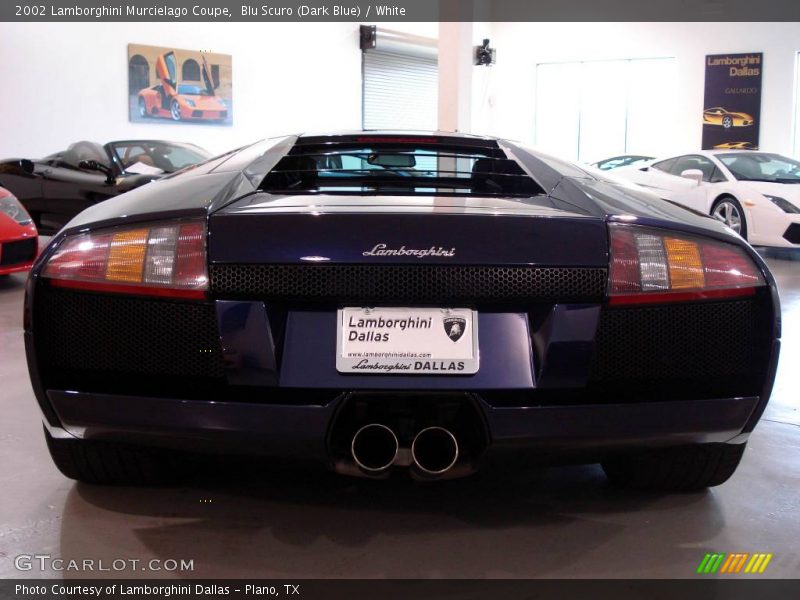 Blu Scuro (Dark Blue) / White 2002 Lamborghini Murcielago Coupe