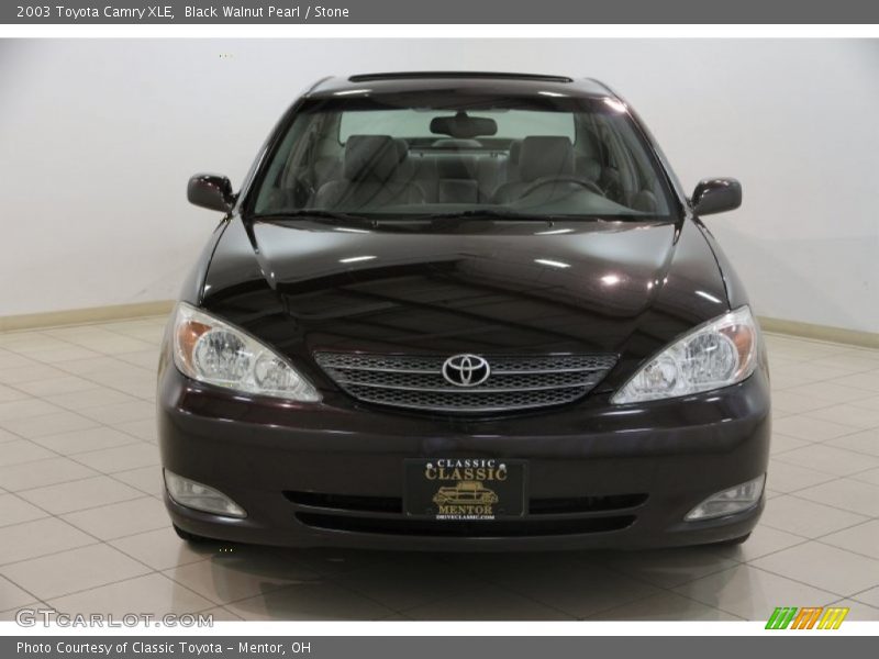 Black Walnut Pearl / Stone 2003 Toyota Camry XLE