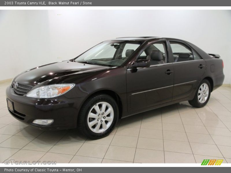 Black Walnut Pearl / Stone 2003 Toyota Camry XLE