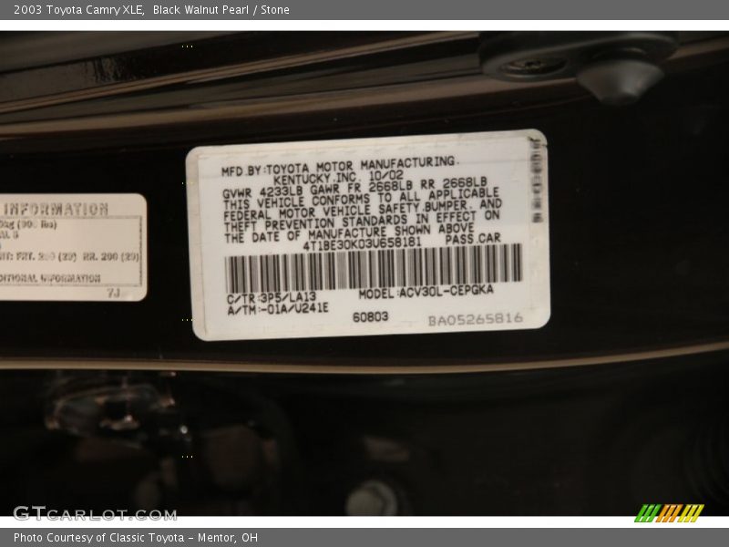 Black Walnut Pearl / Stone 2003 Toyota Camry XLE