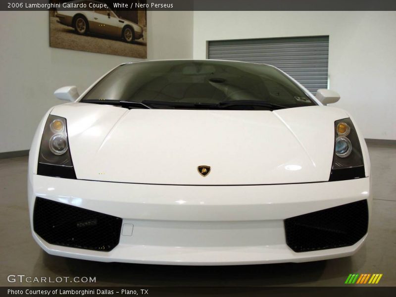 White / Nero Perseus 2006 Lamborghini Gallardo Coupe