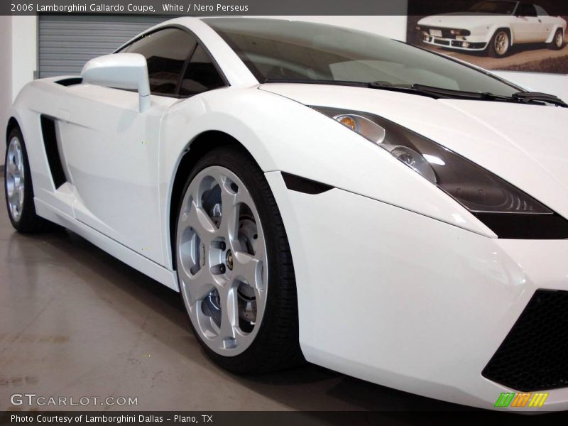 White / Nero Perseus 2006 Lamborghini Gallardo Coupe