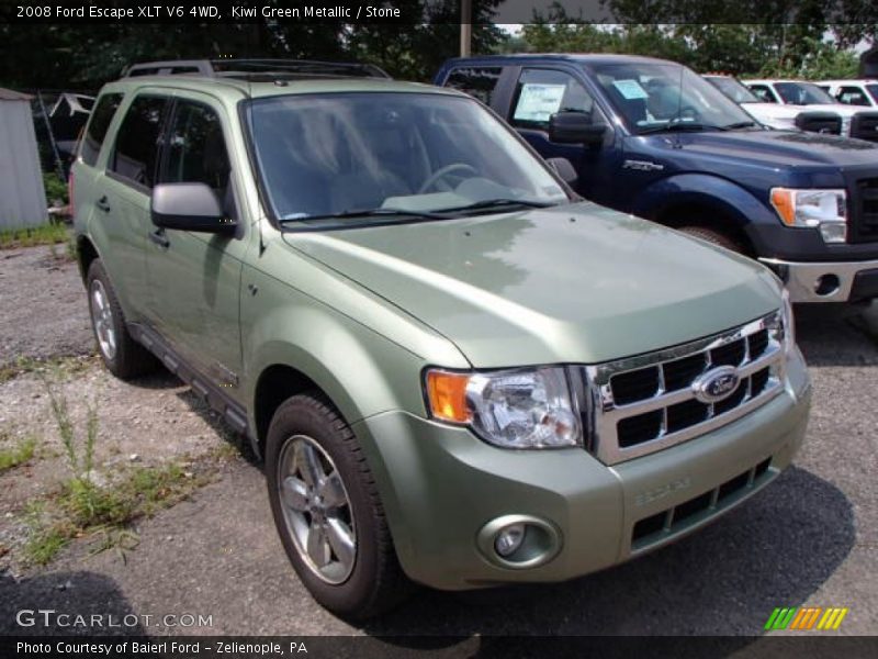 Kiwi Green Metallic / Stone 2008 Ford Escape XLT V6 4WD