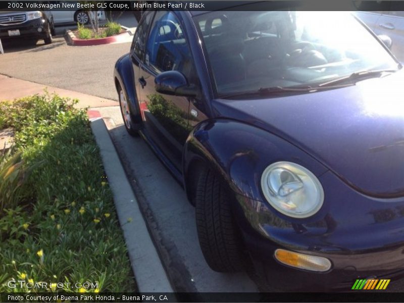 Marlin Blue Pearl / Black 2002 Volkswagen New Beetle GLS Coupe