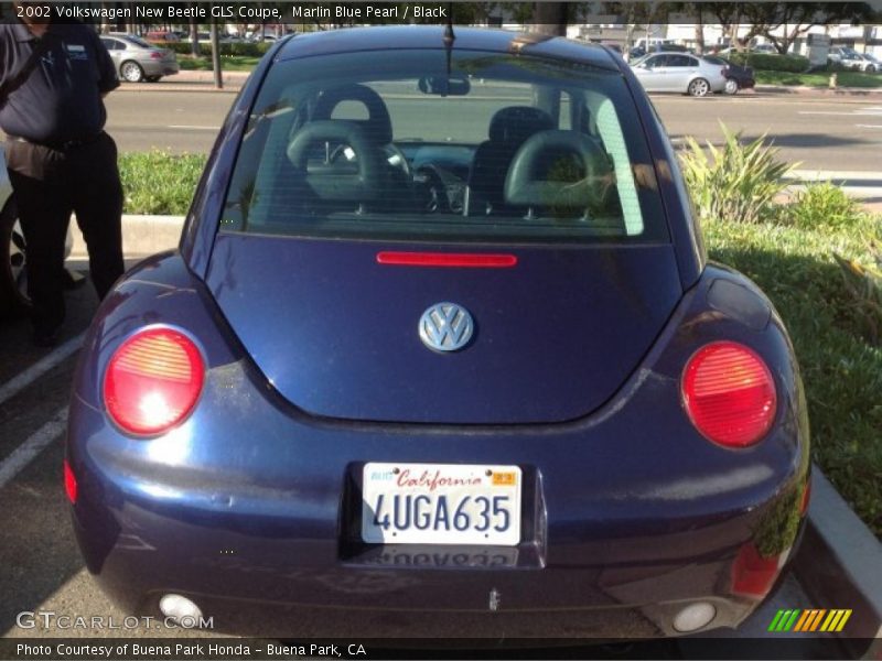 Marlin Blue Pearl / Black 2002 Volkswagen New Beetle GLS Coupe