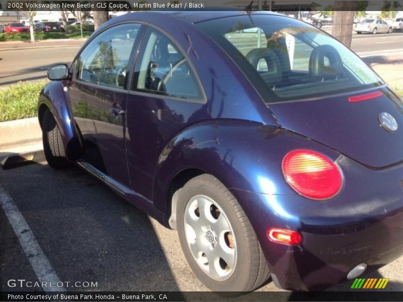 Marlin Blue Pearl / Black 2002 Volkswagen New Beetle GLS Coupe