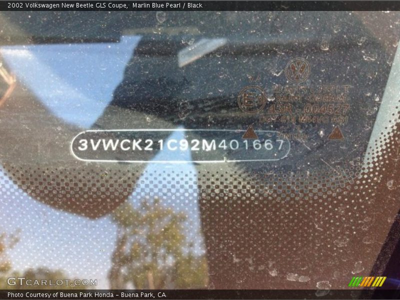 Marlin Blue Pearl / Black 2002 Volkswagen New Beetle GLS Coupe