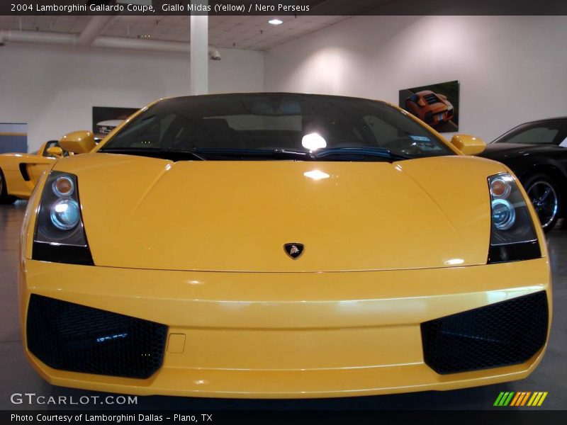 Giallo Midas (Yellow) / Nero Perseus 2004 Lamborghini Gallardo Coupe