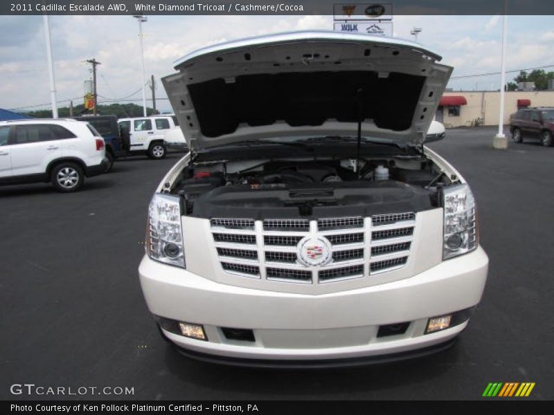 White Diamond Tricoat / Cashmere/Cocoa 2011 Cadillac Escalade AWD