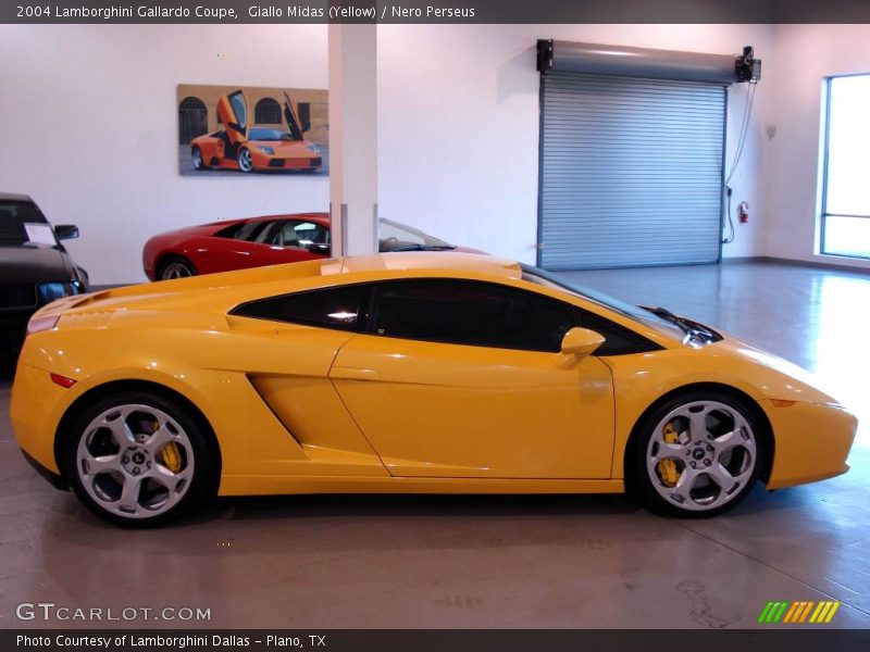 Giallo Midas (Yellow) / Nero Perseus 2004 Lamborghini Gallardo Coupe