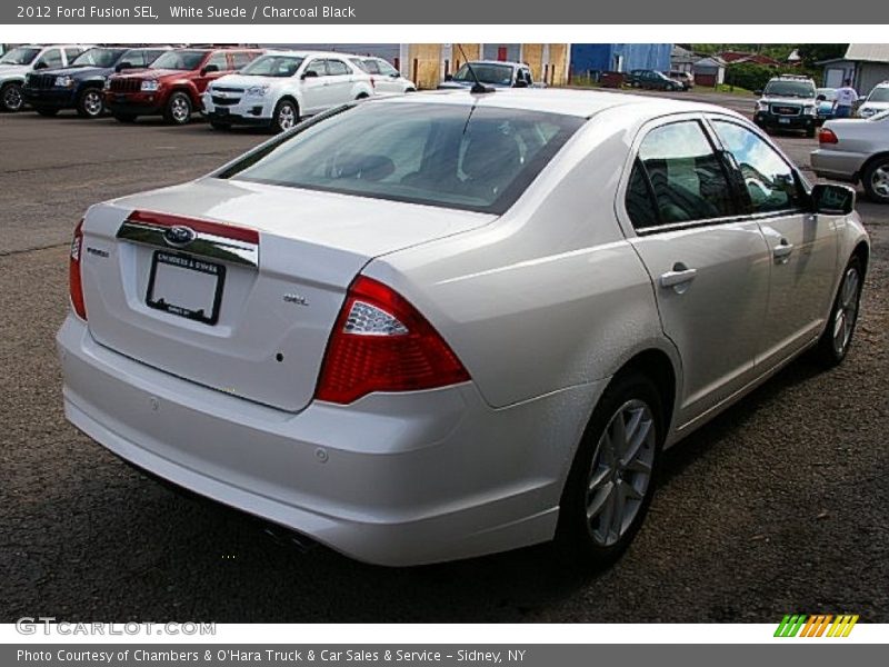 White Suede / Charcoal Black 2012 Ford Fusion SEL