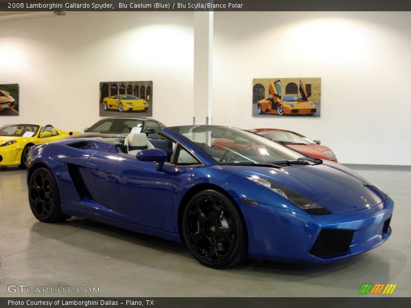 Blu Caelum (Blue) / Blu Scylla/Bianco Polar 2008 Lamborghini Gallardo Spyder