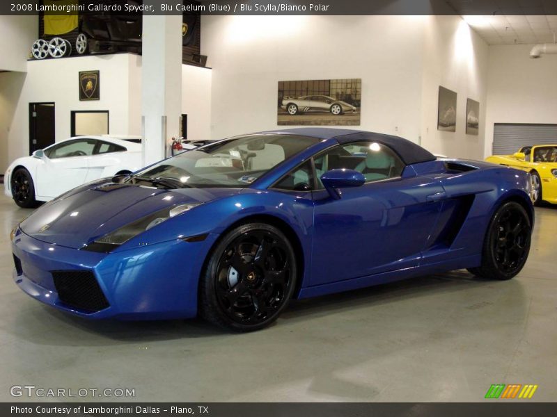 Blu Caelum (Blue) / Blu Scylla/Bianco Polar 2008 Lamborghini Gallardo Spyder