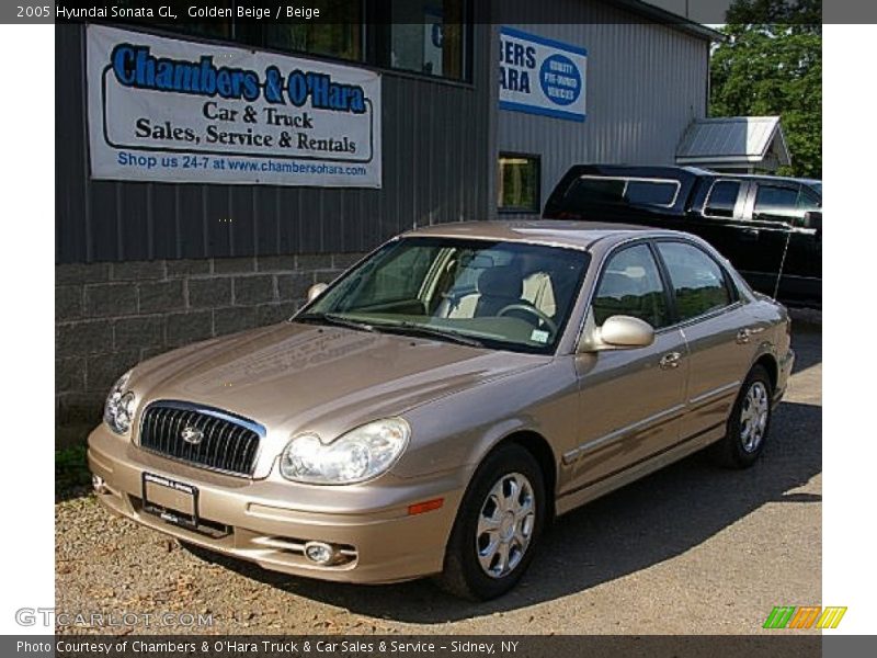 Golden Beige / Beige 2005 Hyundai Sonata GL