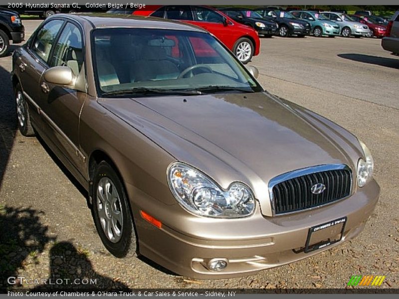 Golden Beige / Beige 2005 Hyundai Sonata GL