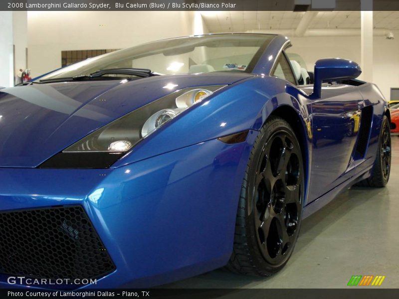 Blu Caelum (Blue) / Blu Scylla/Bianco Polar 2008 Lamborghini Gallardo Spyder