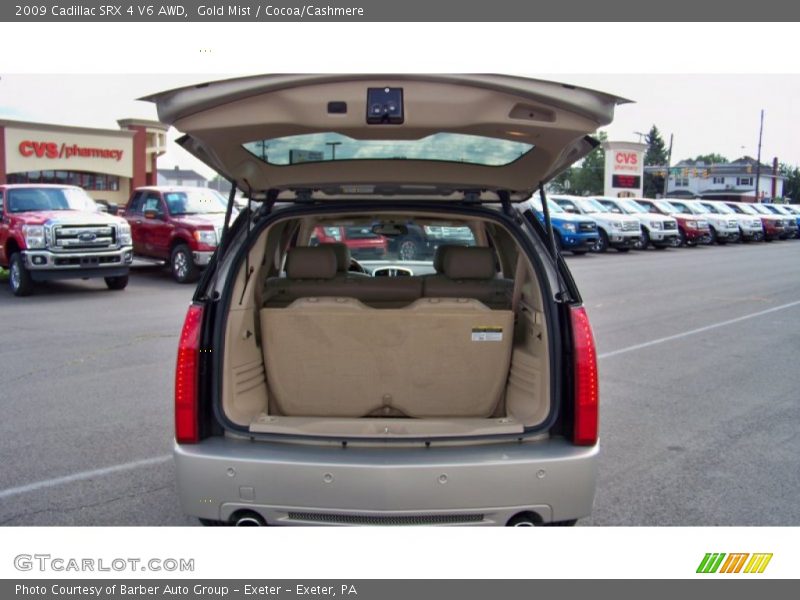 Gold Mist / Cocoa/Cashmere 2009 Cadillac SRX 4 V6 AWD