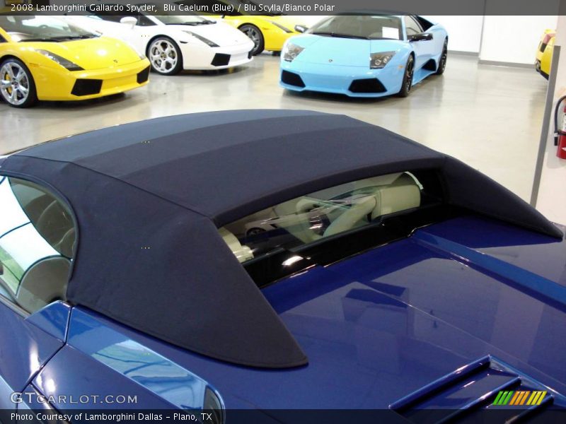 Blu Caelum (Blue) / Blu Scylla/Bianco Polar 2008 Lamborghini Gallardo Spyder