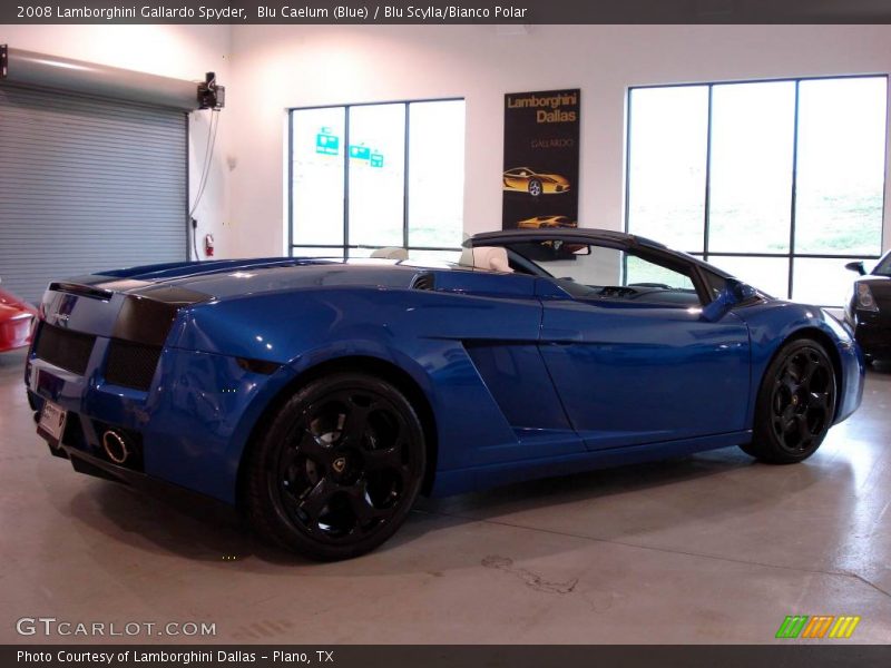 Blu Caelum (Blue) / Blu Scylla/Bianco Polar 2008 Lamborghini Gallardo Spyder