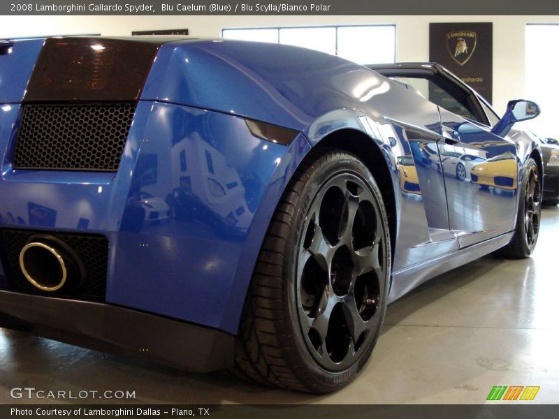 Blu Caelum (Blue) / Blu Scylla/Bianco Polar 2008 Lamborghini Gallardo Spyder