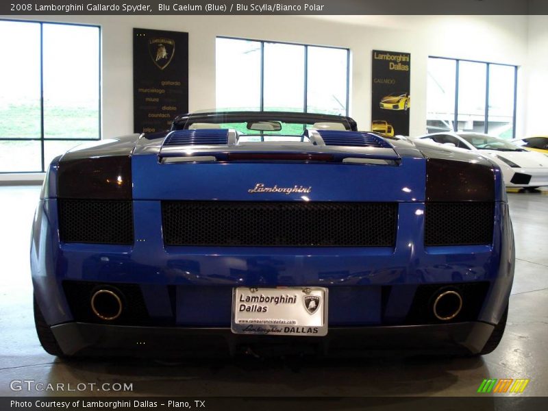 Blu Caelum (Blue) / Blu Scylla/Bianco Polar 2008 Lamborghini Gallardo Spyder