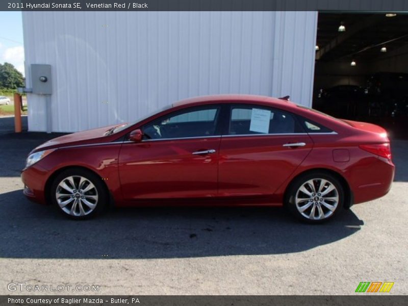 Venetian Red / Black 2011 Hyundai Sonata SE