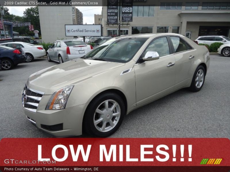 Gold Mist / Cashmere/Cocoa 2009 Cadillac CTS Sedan