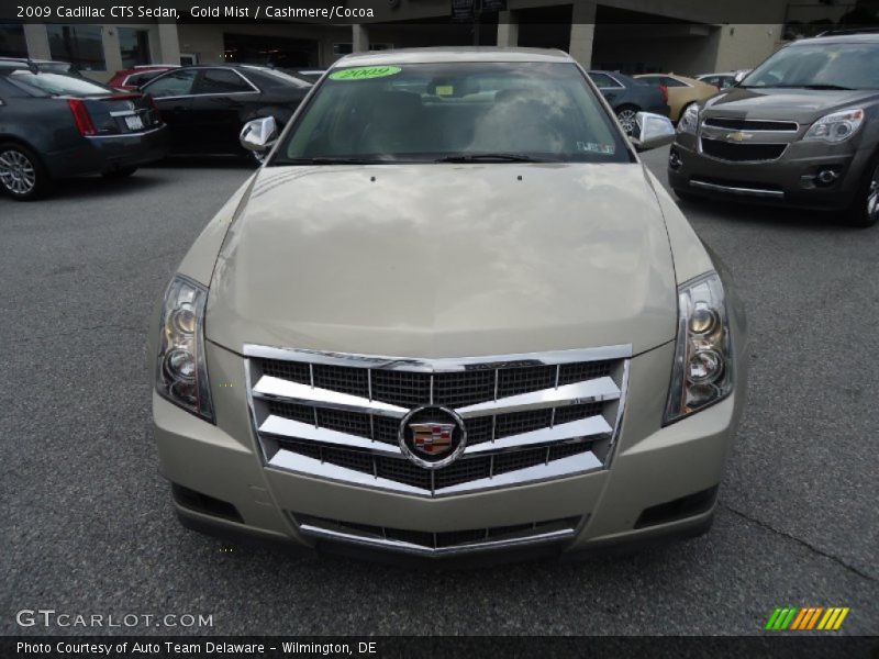 Gold Mist / Cashmere/Cocoa 2009 Cadillac CTS Sedan
