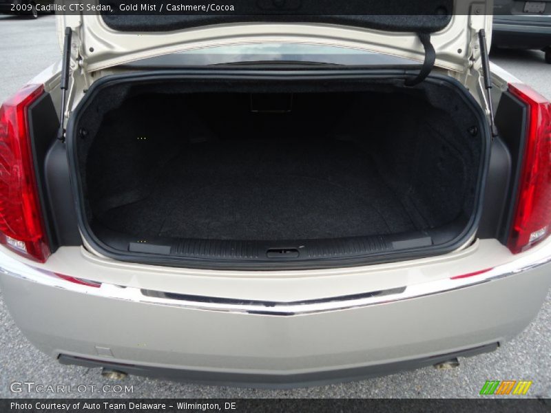 Gold Mist / Cashmere/Cocoa 2009 Cadillac CTS Sedan