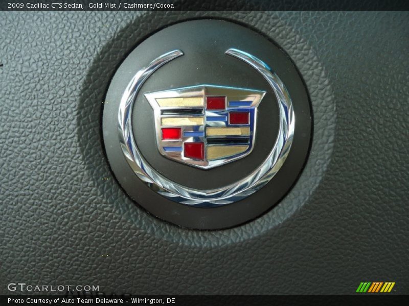 Gold Mist / Cashmere/Cocoa 2009 Cadillac CTS Sedan