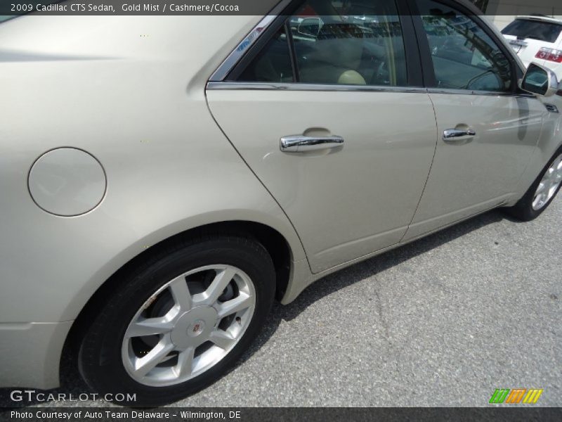 Gold Mist / Cashmere/Cocoa 2009 Cadillac CTS Sedan