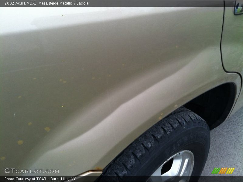 Mesa Beige Metallic / Saddle 2002 Acura MDX