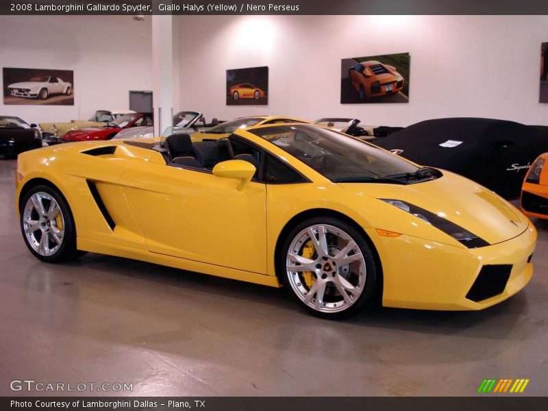 Giallo Halys (Yellow) / Nero Perseus 2008 Lamborghini Gallardo Spyder