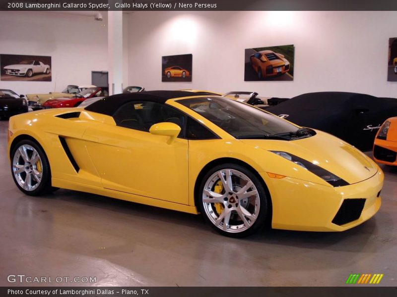 Giallo Halys (Yellow) / Nero Perseus 2008 Lamborghini Gallardo Spyder