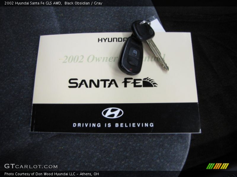 Black Obsidian / Gray 2002 Hyundai Santa Fe GLS AWD