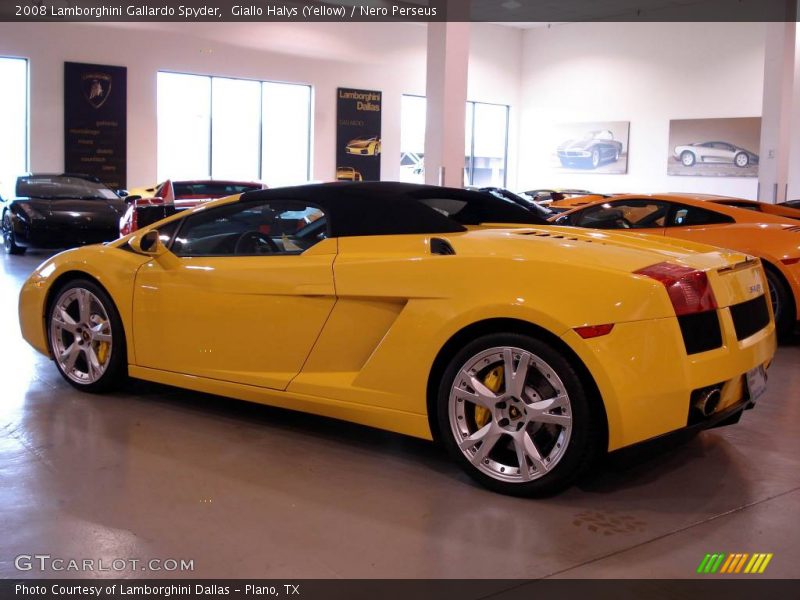 Giallo Halys (Yellow) / Nero Perseus 2008 Lamborghini Gallardo Spyder