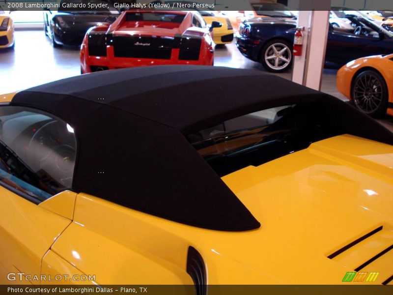 Giallo Halys (Yellow) / Nero Perseus 2008 Lamborghini Gallardo Spyder