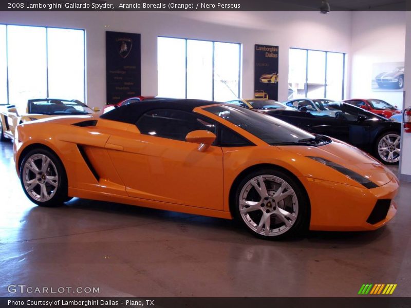 Arancio Borealis (Orange) / Nero Perseus 2008 Lamborghini Gallardo Spyder