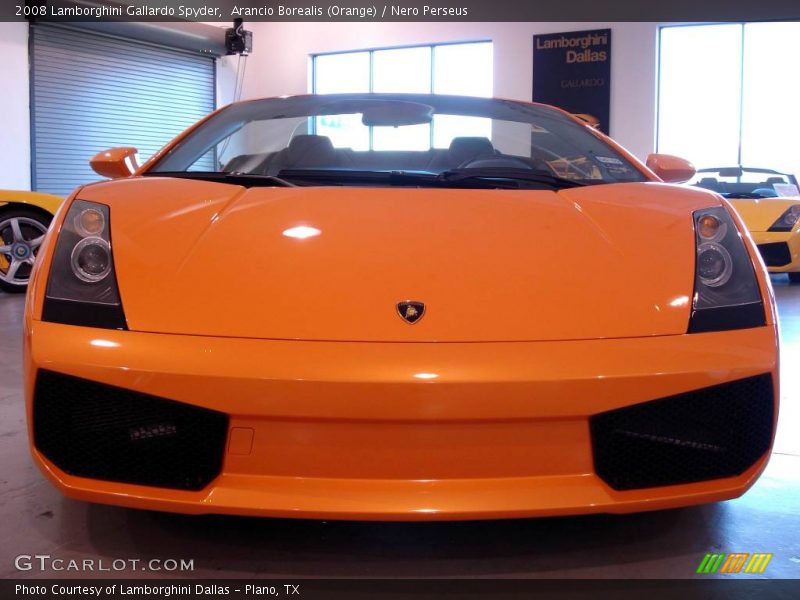 Arancio Borealis (Orange) / Nero Perseus 2008 Lamborghini Gallardo Spyder
