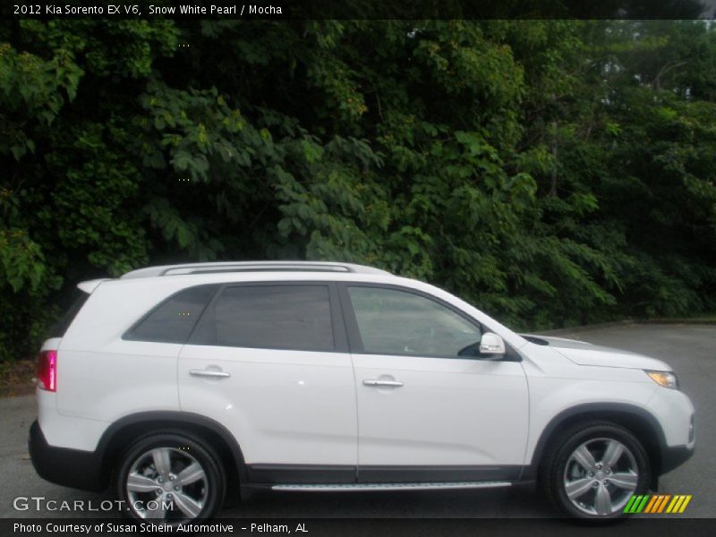  2012 Sorento EX V6 Snow White Pearl