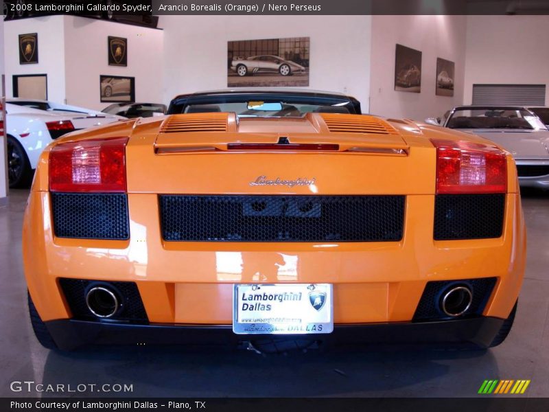 Arancio Borealis (Orange) / Nero Perseus 2008 Lamborghini Gallardo Spyder