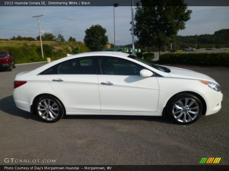 Shimmering White / Black 2013 Hyundai Sonata SE