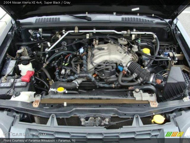 Super Black / Gray 2004 Nissan Xterra XE 4x4