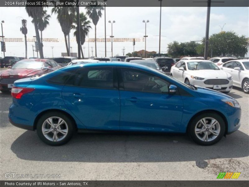 Blue Candy / Charcoal Black 2014 Ford Focus SE Sedan