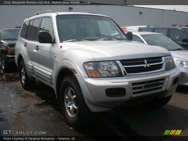 Munich Silver Metallic / Gray 2002 Mitsubishi Montero XLS 4x4