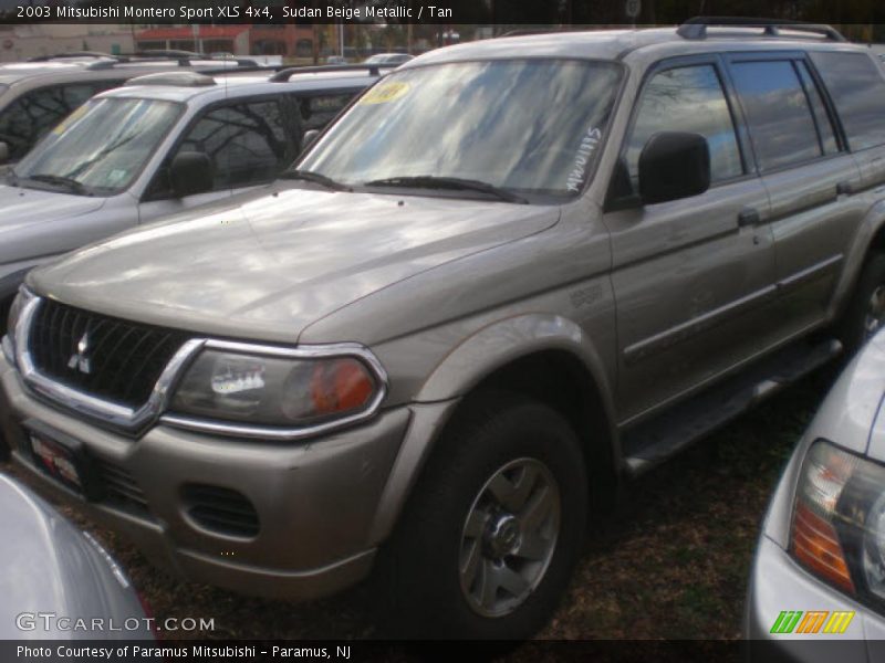 Sudan Beige Metallic / Tan 2003 Mitsubishi Montero Sport XLS 4x4