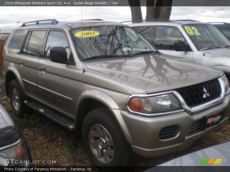 Sudan Beige Metallic / Tan 2003 Mitsubishi Montero Sport XLS 4x4