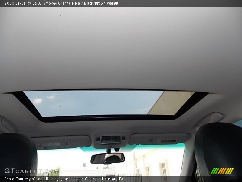 Smokey Granite Mica / Black/Brown Walnut 2010 Lexus RX 350