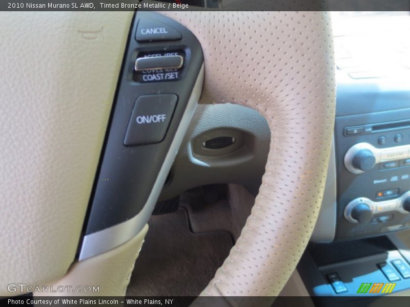 Tinted Bronze Metallic / Beige 2010 Nissan Murano SL AWD