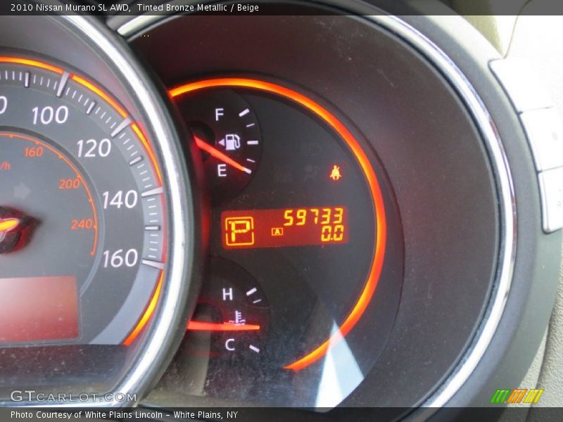 Tinted Bronze Metallic / Beige 2010 Nissan Murano SL AWD